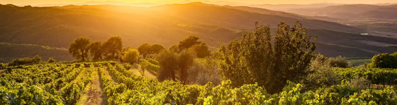 Header GEFAKO Empfehlung (3)