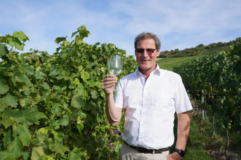 siegfried fuchs (geschäftsführer)